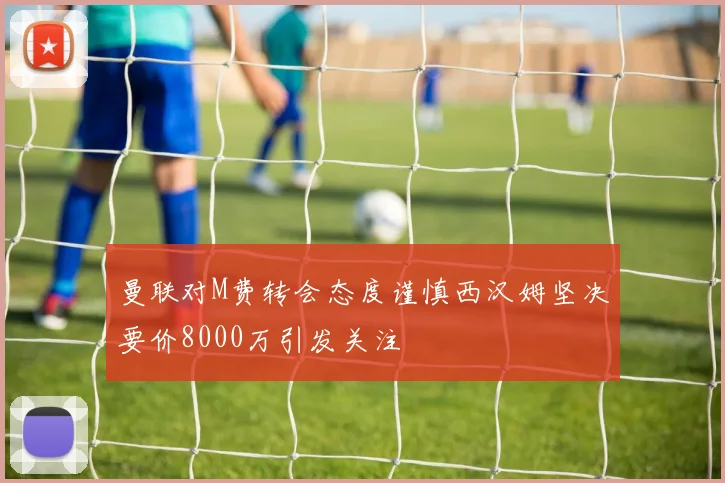 曼联对M费转会态度谨慎西汉姆坚决要价8000万引发关注
