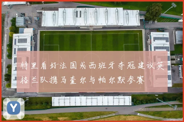 特里看好法国或西班牙夺冠建议英格兰队携马奎尔与帕尔默参赛
