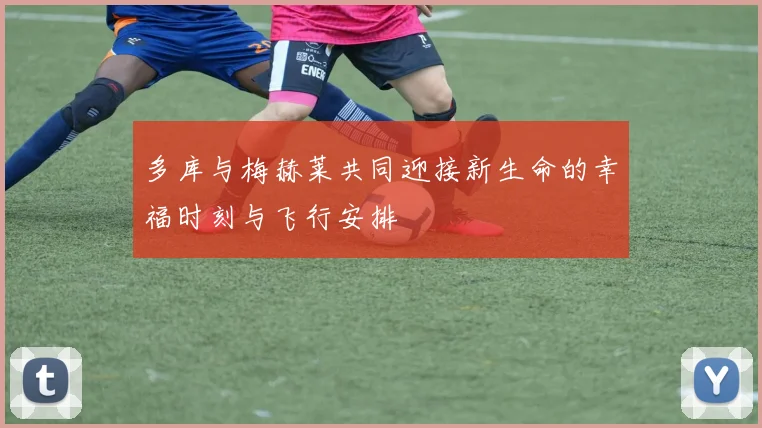 多库与梅赫莱共同迎接新生命的幸福时刻与飞行安排
